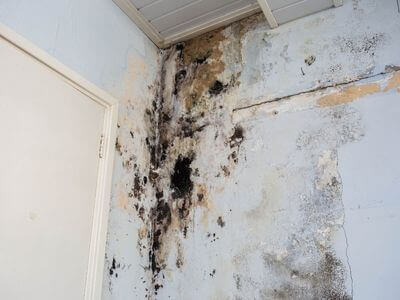 About WaveTrust Team - water damage restoration experts in Calabasas